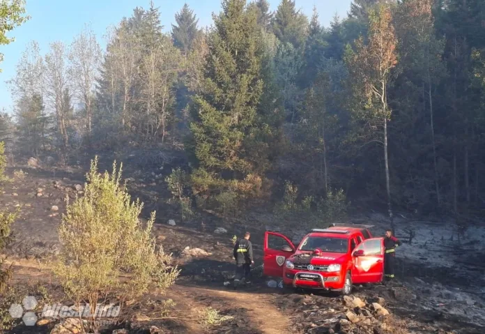 Sumnja se na ljudski faktor