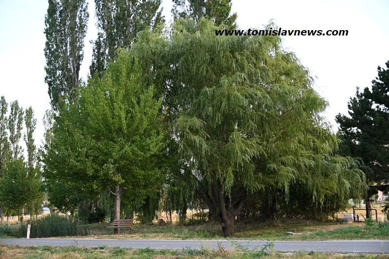 VIDEO: DOBRO vam umjereno vedro i toplo jutro iz Tomislavgrada!