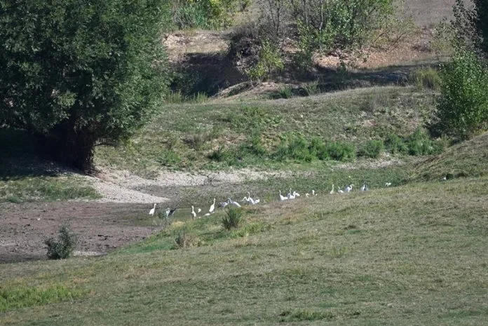 VIDEO: DOBRO vam vedro i tiho jutro iz Tomislavgrada!