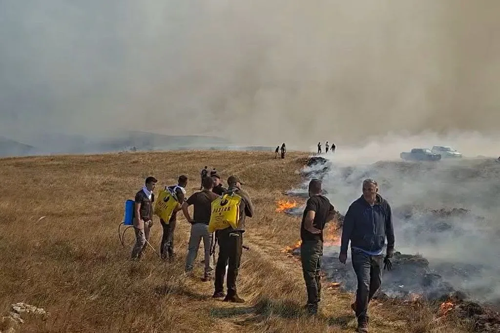 Vatra stigla u blizini duvanjske deponije u Paklinama: Evo kako se brani (video), djeluju i kanaderi (video)