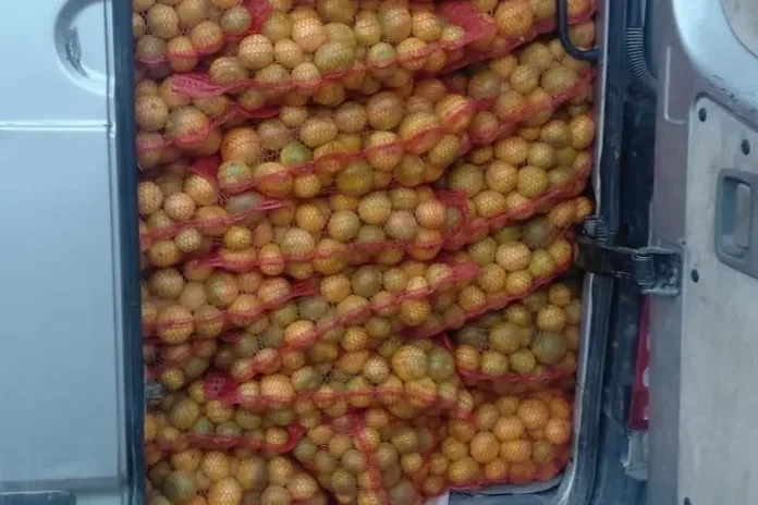 Zaustavljen kod Ljubuškog: Prevozio 4,5 tona mandarina iz Hrvatske
