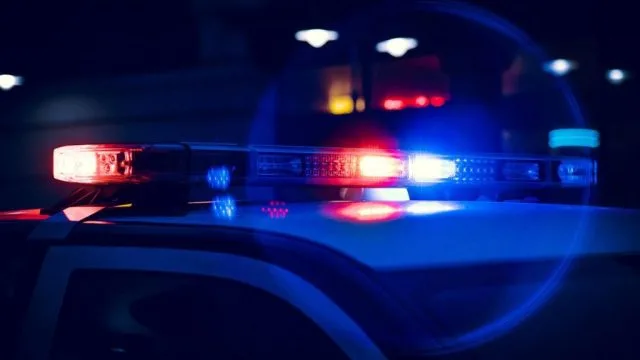 Vatra kod Gruda zahvatila 130 hektara, kuće bile ugrožene – hip.ba