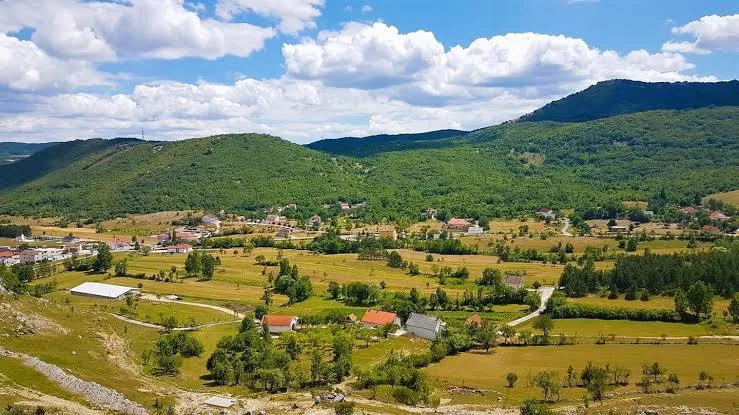 Pozitivna priča iz Rakitna: Trojica braće zajedno vode farmu, pekarnicu i restoran