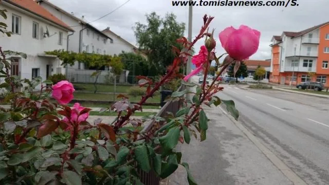VIDEO: DOBRO vam umjereno vedro jutro iz Tomislavgrada!