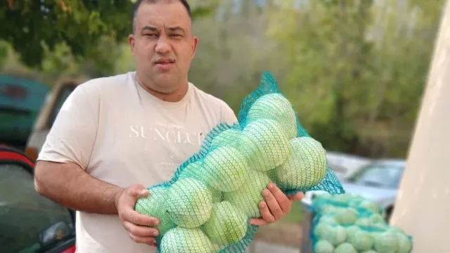 Od početnika do 30 tona kupusa: Jure Petrović za godinu dana proširio proizvodnju