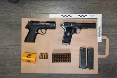 Pištolji, puška i bomba: Pet osoba uhićeno u akciji „Black Peak” – hip.ba
