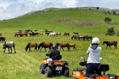 HBŽ uređuje vožnju kvadovima: Nema vožnje bez dozvole, cijene će formirati “Hercegbosanske šume”