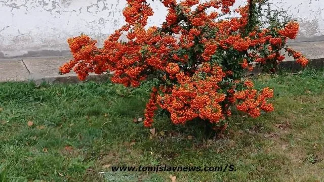 VIDEO: DOBRO vam umjereno oblačno jutro iz Tomislavgrada!